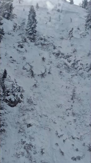 One skier is dead in an avalanche at the Montgenèvre ski area. The avalanche broke around treeline in the large bowl below the Monte de la Plane in the popular off-piste area accessible from the Rocher de L’Aigle lift. The incident occurred at around 11:40 a.m. yesterday, Feb. 9 The victim was a Hautes-Alpes resident in his early thirties. An additional skier was present but survived. The slope angle was likely around 30 degrees or greater, and the avalanche broke on a persistent weak layer that