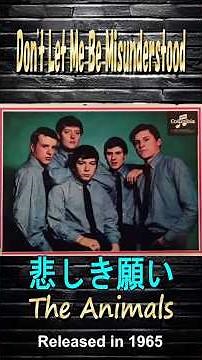 悲しき願い#アニマルズ#60smusic