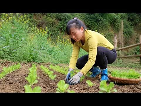 Full Video: 30 Days Growing a Vegetable Garden and Caring for a Sow and Piglets | Farm Girl Daily