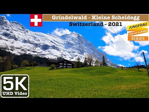 Grindelwald - Kleine Scheidegg, Switzerland Train Journey, Jungfraujoch Series | 5K UHD Video
