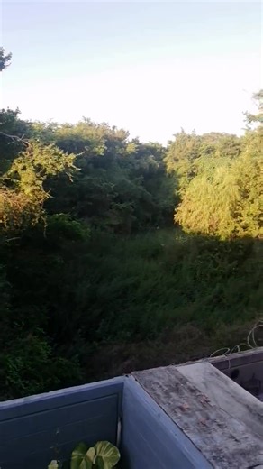 Harry Cooper on Reels