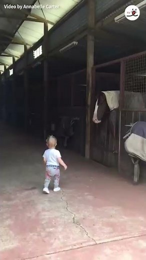 The Baby’s Morning Routine with The Horses