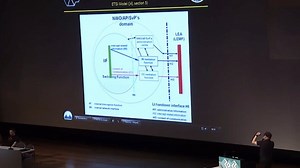 Researcher describes ease to detect, derail and exploit NSA's Lawful Interception