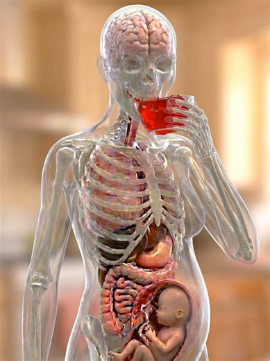 What Happened Inside Your Body When You Eat Jelly During Pregnancy I, Watch Full Video How Baby Growth And Strong #pregnancy #babygrowth #pregnant #tiktokgrowthchallenge