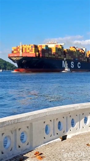 Giant Mediterranean Container Ship Entering Harbor 😱⚓ #shorts #containership #harbor