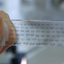 Video: The c-FOS Protein Immunohistological Detection: A Useful Tool As a Marker of Central Pathways Involved in Specific Physiological Responses In Vivo and Ex Vivo