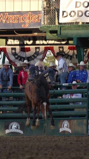 Cole Reiner wins Saturday night's Reno Rodeo Championship Round in the Bareback Riding!... #westernlifestyle #broncrider #broncriding #rodeoseason #rodeolife #rodeolifestyle #rodeo | The Rodeo Trail