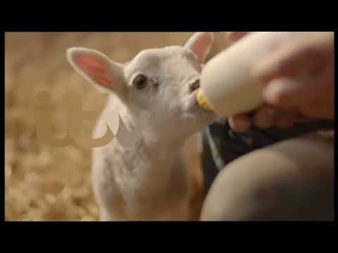 ITV: Ident (30) - 2013