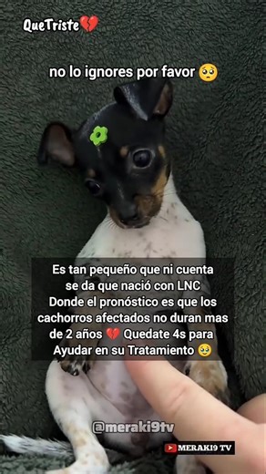 Quedate 4s por favor.. 🍼❤️