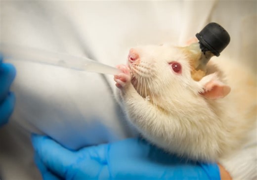 Machine learning allows researchers to decode visual cortex signals into video frames