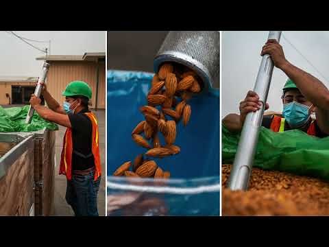 Understanding Almond USDA Grades and Standards