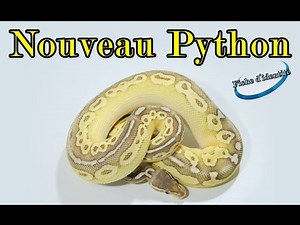NOUVEAU PYTHON