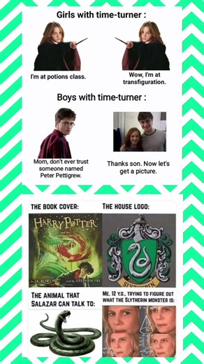 Boys vs Girls with a Time-Turner 😂#shorts #meme #harrypotter