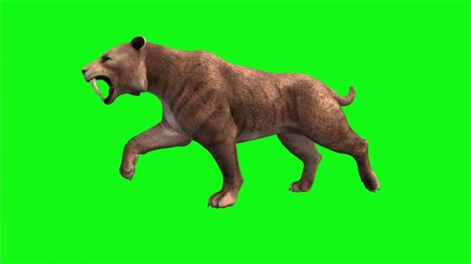 Big Time Videos: Download 1,795+ Free 4K & HD Stock Footage Clips - Pixabay