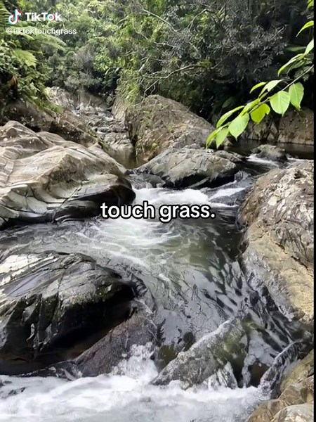 Did you touch grass today? 🌱 #touchgrass #touchgrasschallenge #nature #asmr #fypage