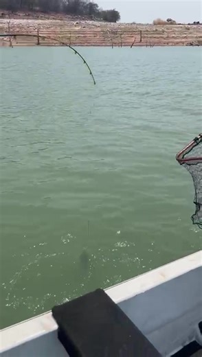 Catching Trophy Tigerfish at Cahorra Bassa