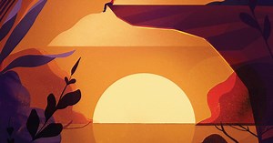 Handsome Frank • Home to the world's greatest illustrators