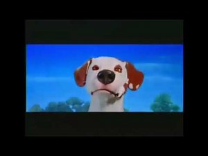 Nickelodeon movies dog logo reversed