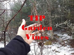 Bottle Digging Tips ~ How To Find Bottles & Signs To Look For