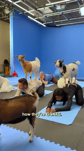 Goats on GOATs. From the artists that made KPop Demon Hunters, Spider-Man: Across the #SpiderVerse, and producer Stephen Curry, #GOATmovie is coming to Yosemite Cinema Friday, Feb 13th. Get tickets now! | Yosemite Cinema