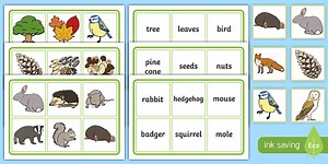 Woodlands and Forests Matching Game