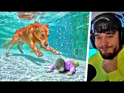 10 Tiere - Die Menschen LEBEN GERETTET Haben