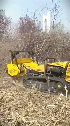 The process of removing dry trees with a bulldozer #shorts
