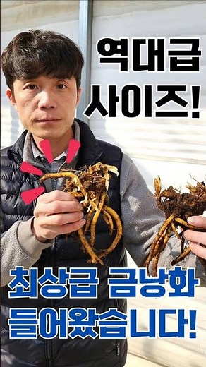 ★판매처★ 국제원예종묘 : 041-674-6699 / 금강원예종묘 : 1661-6533 [금낭화 알바]