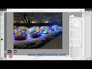 Photoshop Elements 2021 Tutorial Using the Filmstrip Adobe Training