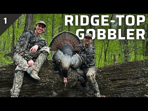 We Drove All Night for THIS Gobbler | Ridge Top Turkey Hunt in the Hardwoods