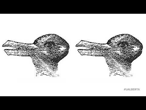 Duck, duck...rabbit?