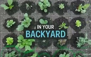 农场机器人｜2020【FarmBot】