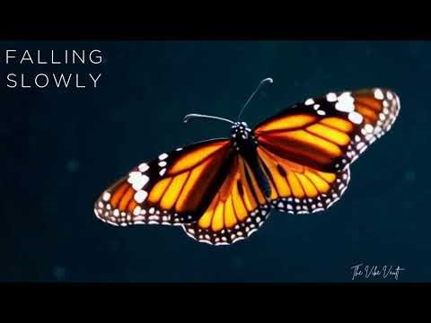 lo-fi House Grooves - Chill - Deep - Relax