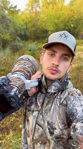 65K views · 1.2K reactions | On the fields of Umbria with...