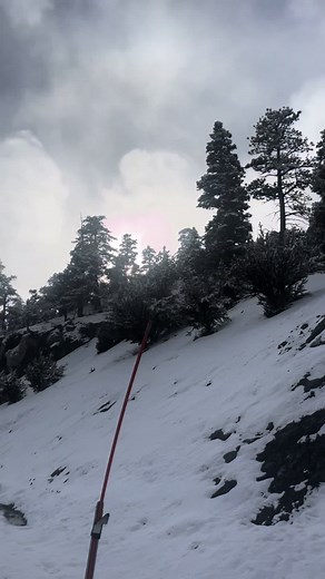 Allie Addison (@babyalliea)’s videos with nintendo wii (mii channel) song - julie on the internet