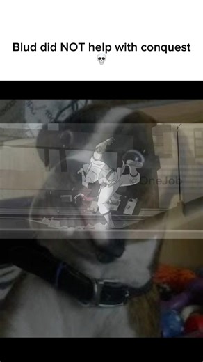 “Big ass beat down coming up” #memes #shorts #instareels #tiktok