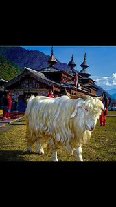 Prem Sharma on Reels