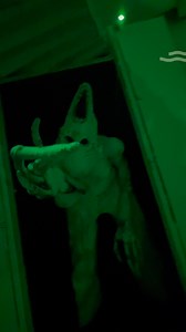 335 reactions · 50 shares | Do you have what it takes to conquer Halloween Horror Nights 10? Have a sneak peek of what’s waiting for you in the dark at Universal Studios Singapore.  3 haunted houses and 2 scare zones with your worst nightmares - Pontianak, zombies, clowns, they’re all there. Ready for the jump scares? Join the terrifying fun now before it’s too late. Get your tickets at https://bit.ly/FB1910HHN10 | Sentosa | Facebook