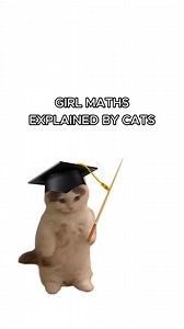 Girl Math: When Kitties Do the Calculations | Funny Cat Videos