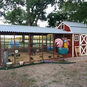 30K views · 658 reactions | All Cooped Up! Chicken Coops! Find all the links to these (several coop plan links) https://pinterest.com/rescapedotcom/re-scape-pets/ | Re-Scape Inspired Recycling | Facebook