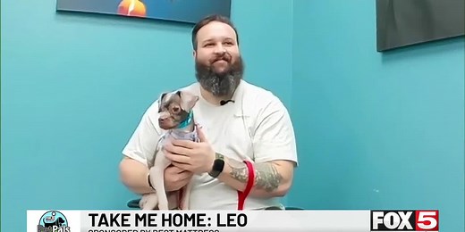 Pet Pals: Take Home Leo