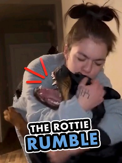 Rottie Rumble: Understanding Rottweiler Behavior