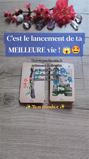 🔮😱🤩✨🎉💫🌟🌞Je ne fais ni voyance privée ni retour affectif, je n'ai pas de prestation payante dans la voyance. Attention aux faux comptes, beaucoup copient mon profil en volant mon logo et mes vidéos... Méfie-toi des arnaques avec mon nom, mon logo et mes publications. Je n'ai aucune messagerie active sur Facebook et tiktok, je ne démarche donc jamais via les messageries ⚠️🙏 Mes oracles sont en vente dans ma boutique Etsy (le lien est dans mon profil), je ne demande JAMAIS de paiement par P