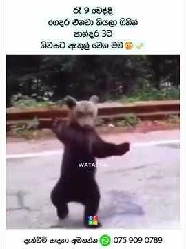 BEST FUNNY MEMES VIDEO #shorts #shortvideo #funny #funnyvideo #funnycomedy #srilanka #comedy