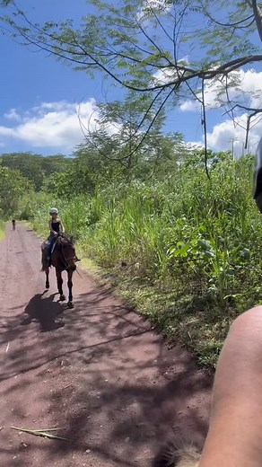 Today’s lesson on students new young filly | Cynthia Shields-McClendon