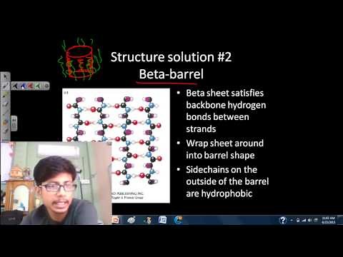 Transmembrane protein