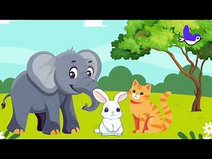 Animals around me song/Fun animals song For Kids