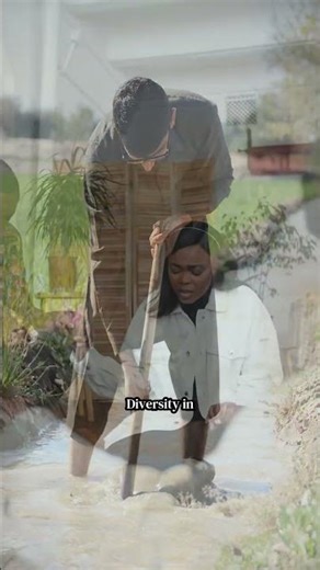 Sustainable animal production systems