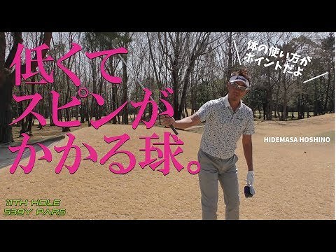 スティンガー系の「低ピタ」アプローチはカラダの使い方が鍵【イーグルポイントGC⑪H】