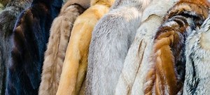 How to Clean Your Expensive Fur Coat | DoItYourself.com